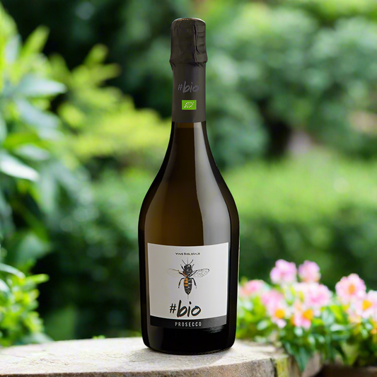 Bottle of prosecco called BIO with a bee on the white label. the bottle is on a garden wall