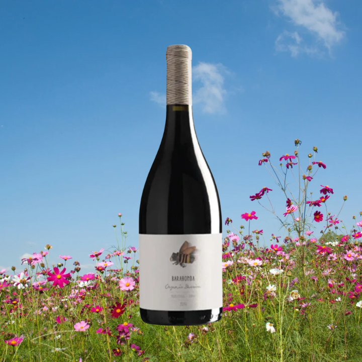 Barahonda Organic Barrica | Organic Spanish Red Wine
