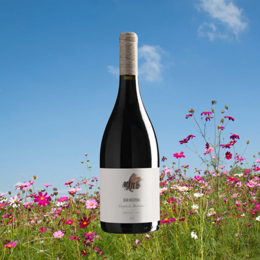 Barahonda Organic Barrica | Organic Spanish Red Wine